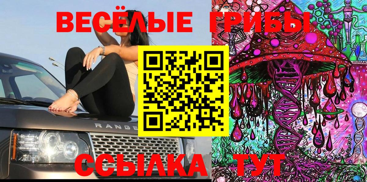 Галлюциногенные грибы прущие грибы Кировск