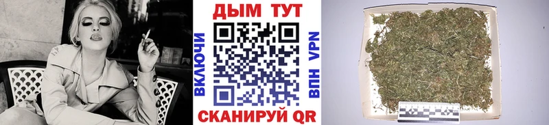 закладка Кировск Бошки марихуана планчик